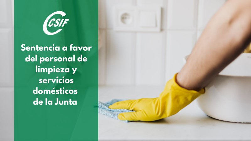 CSIF | CSIF logra una sentencia que condena a Bienestar Social al pago ...