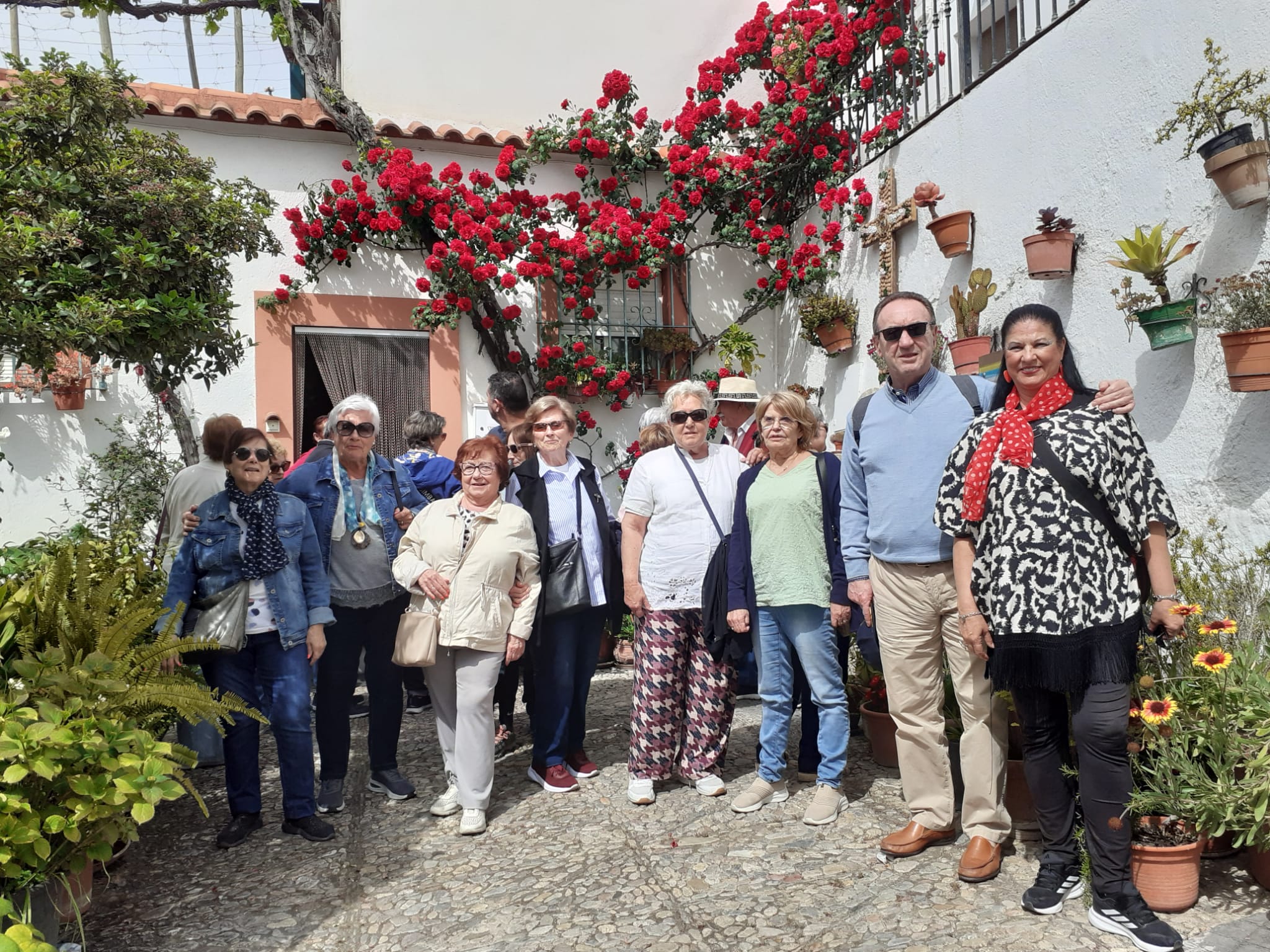 Visita