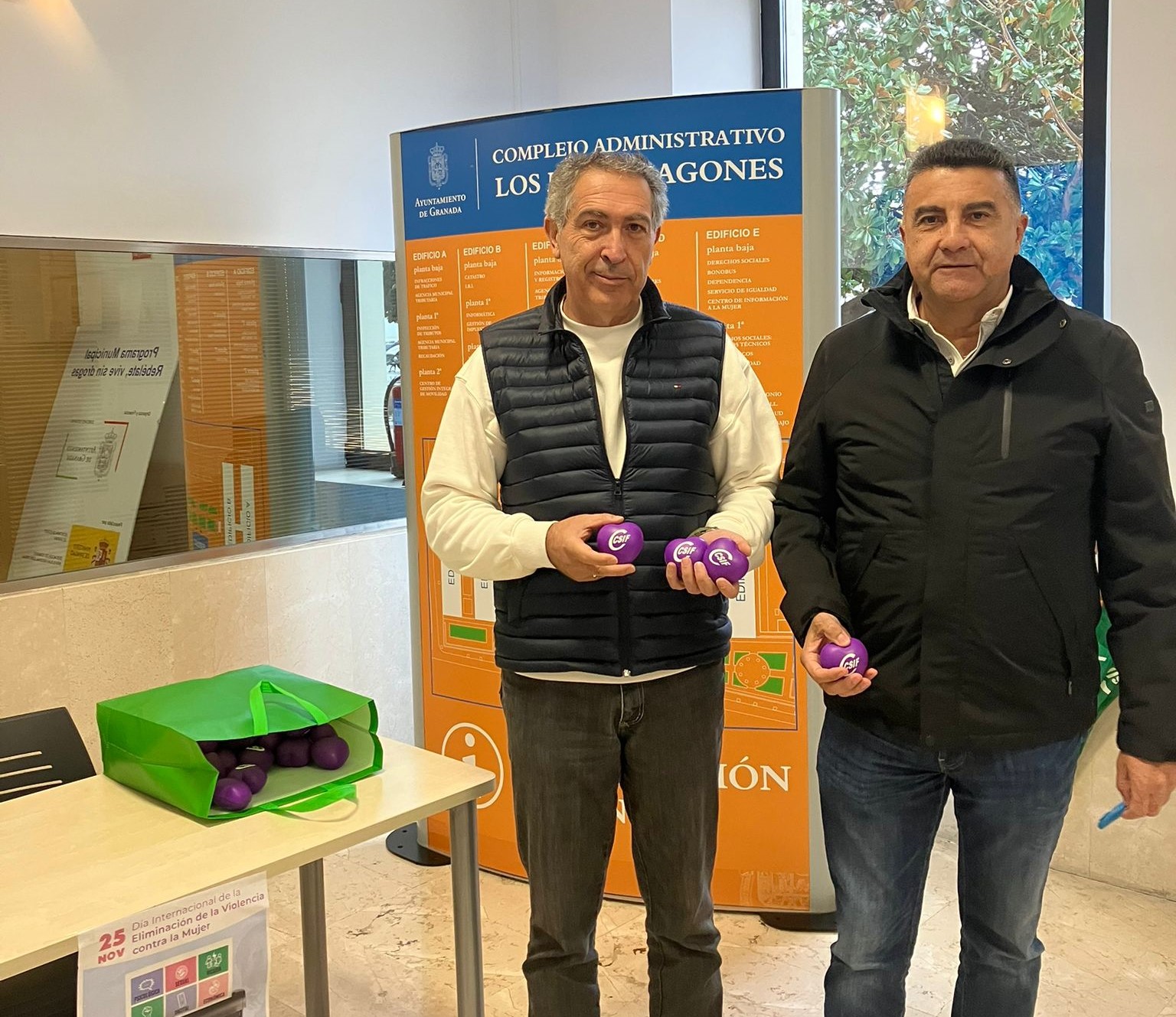 CSIF Granada Día Internacional Eliminación de la Violencia contra la Mujer