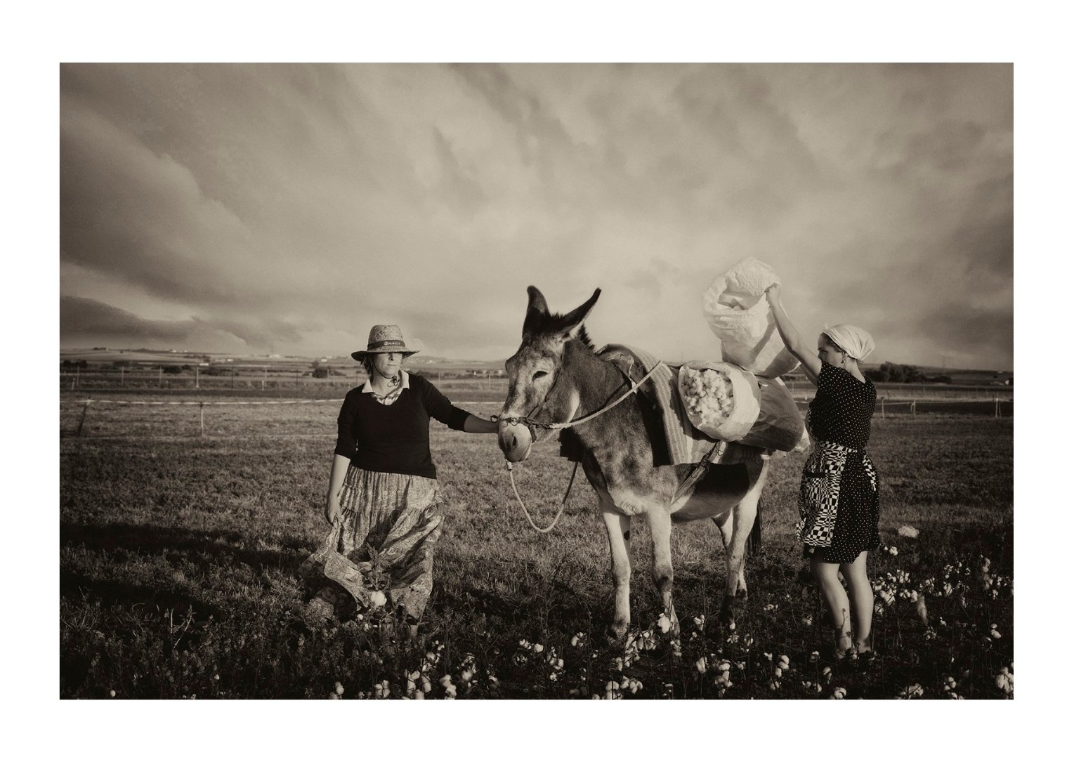 Cargando la recolección