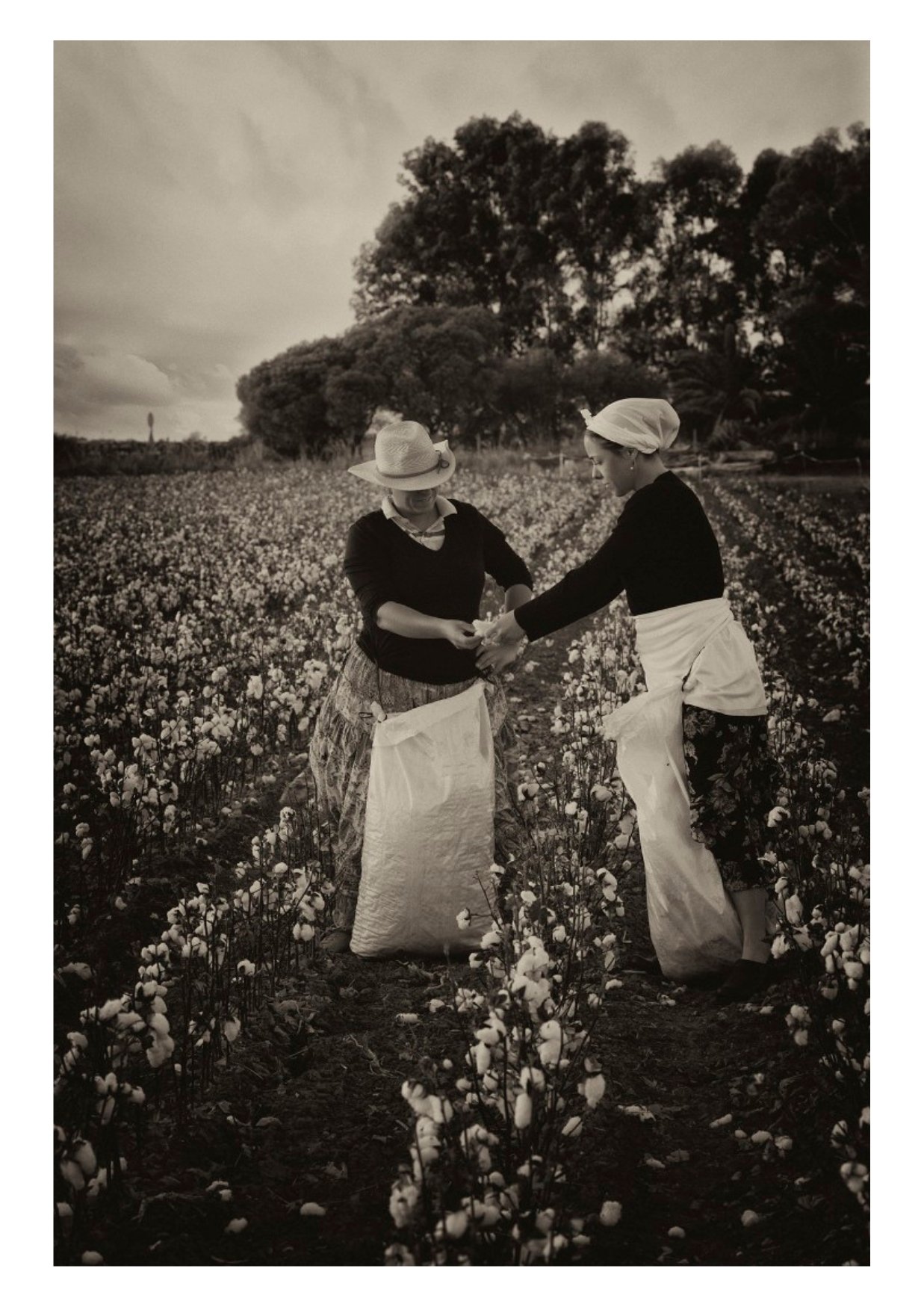 Empezando a trabajar