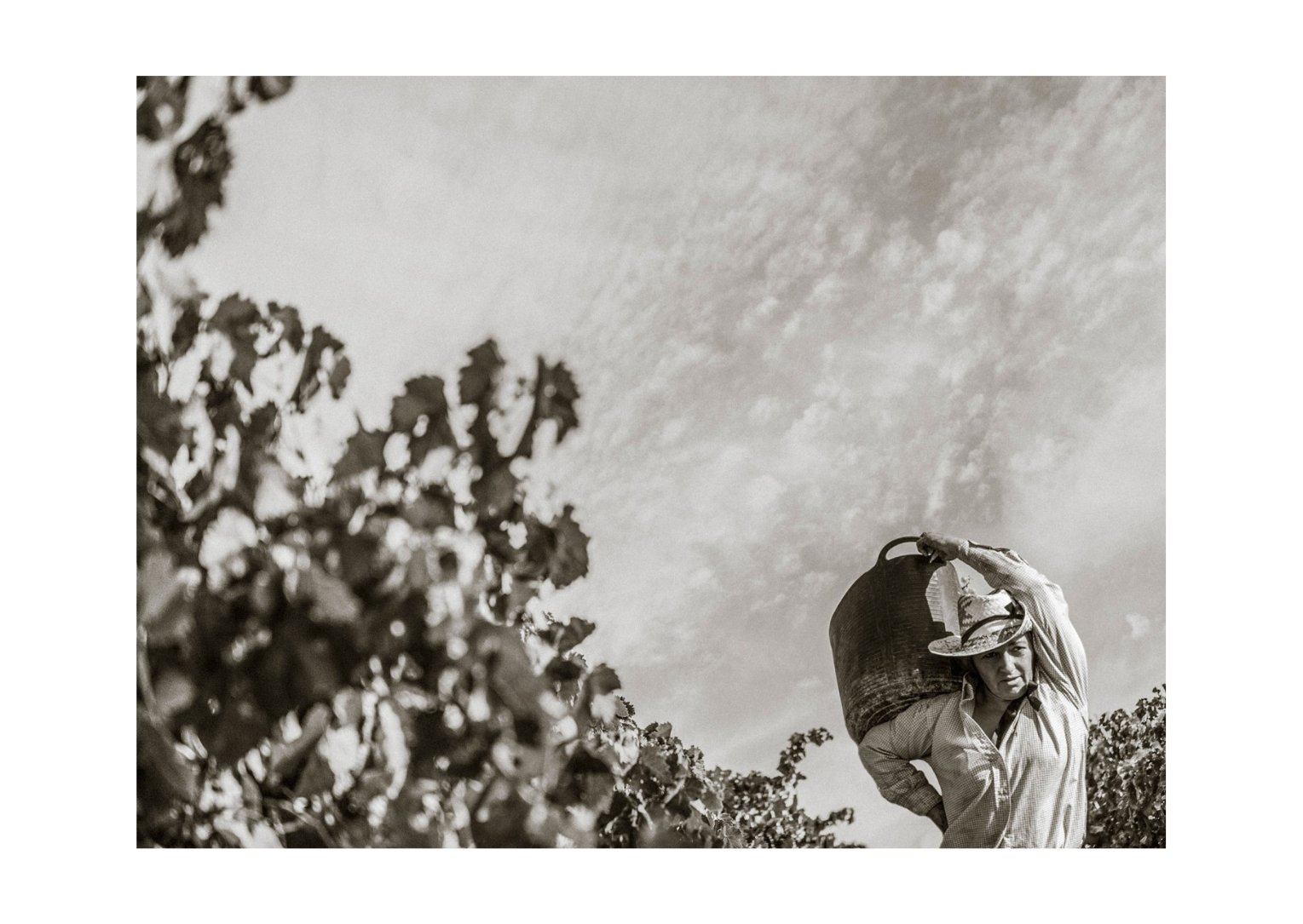 Fortaleza en femenino