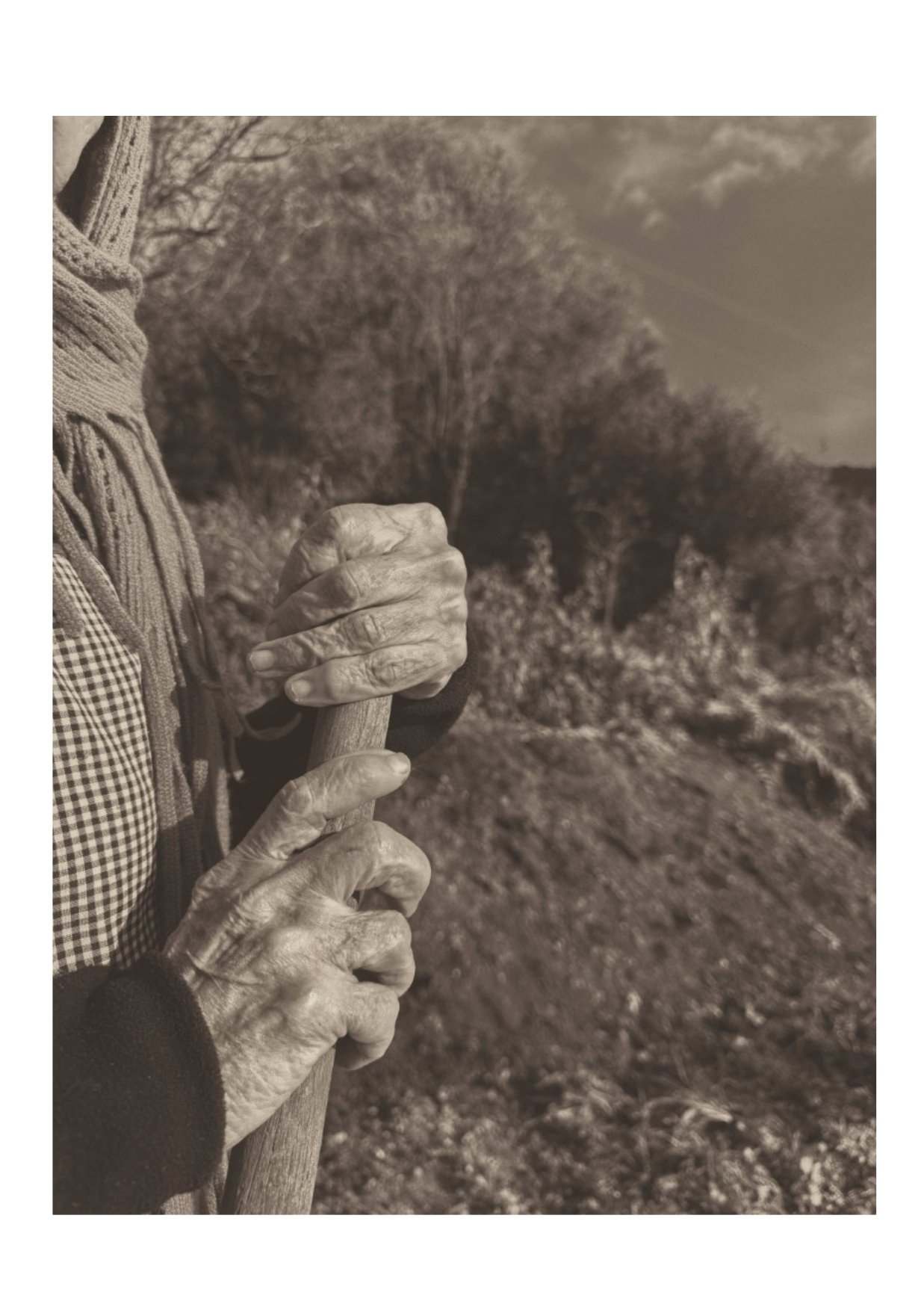 La huella de los años