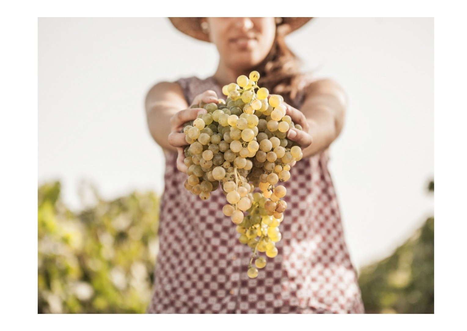 Nosotras sí podemos