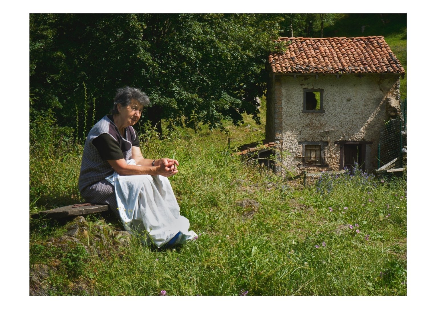 Última superviviente