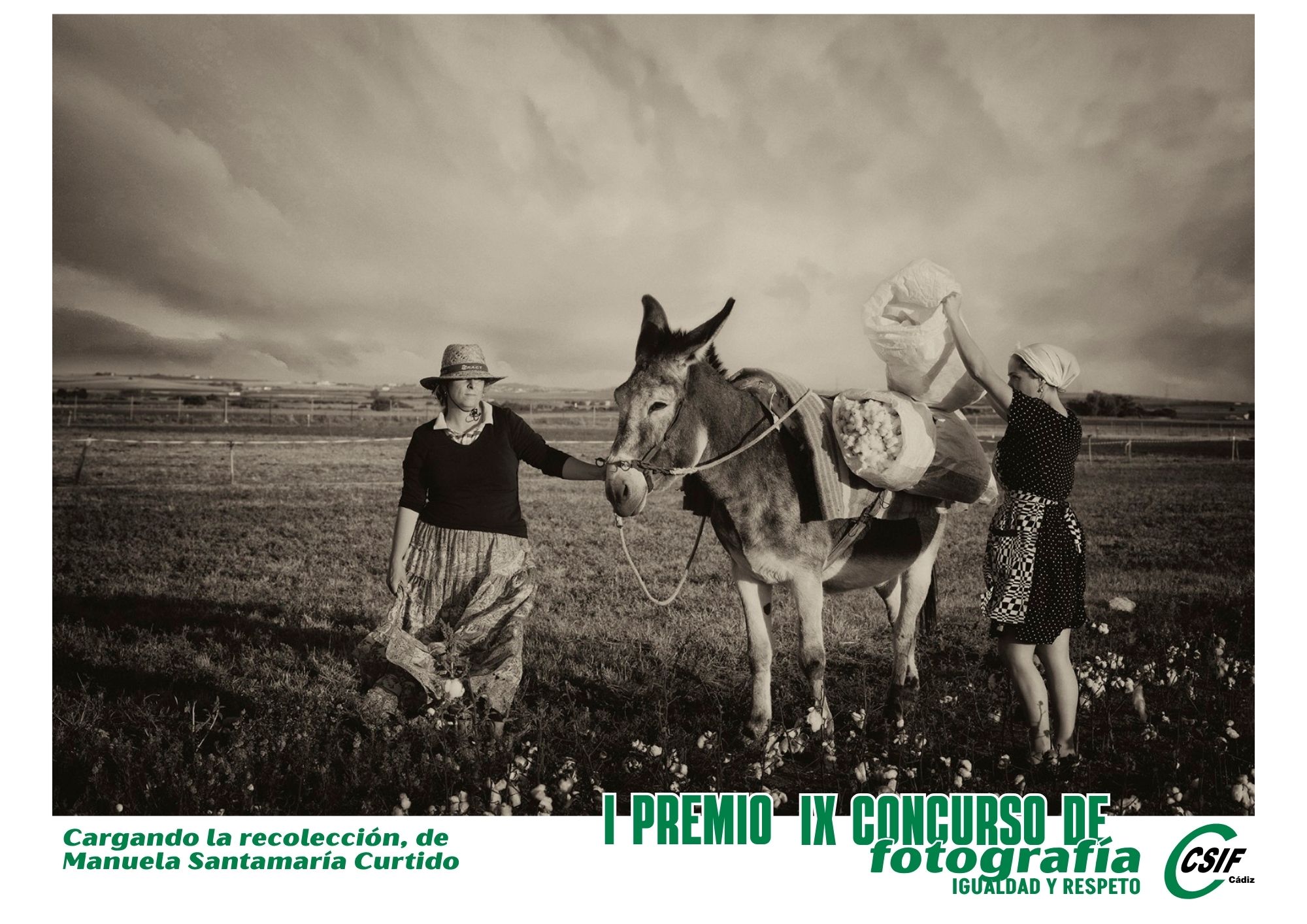 Cargando la recolección, de Manuela Santamaría