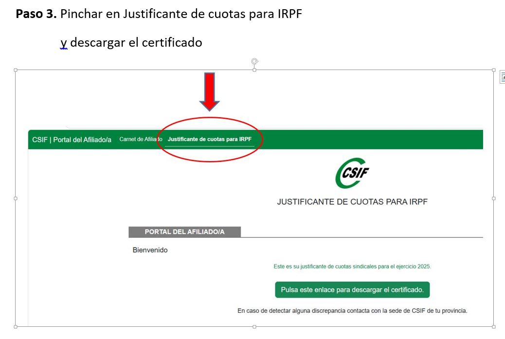 Paso 4