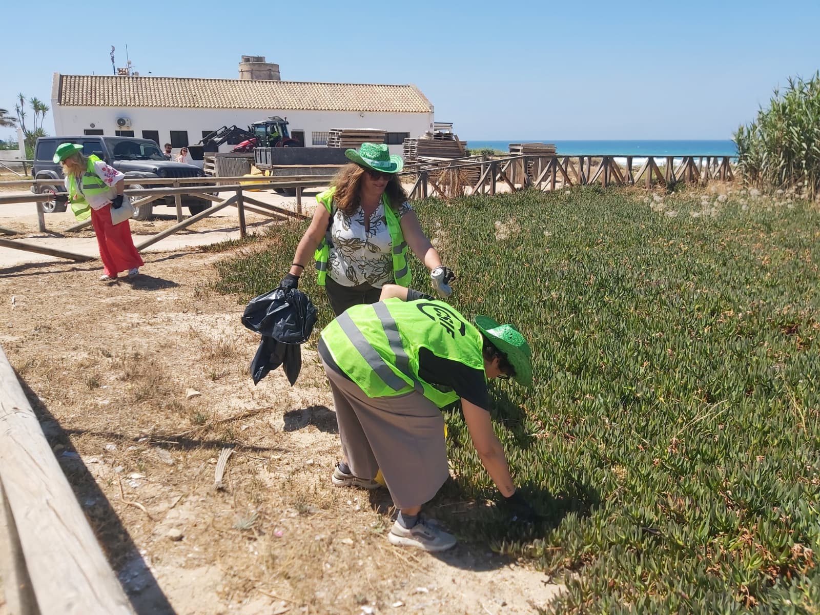 basuraleza el palmar