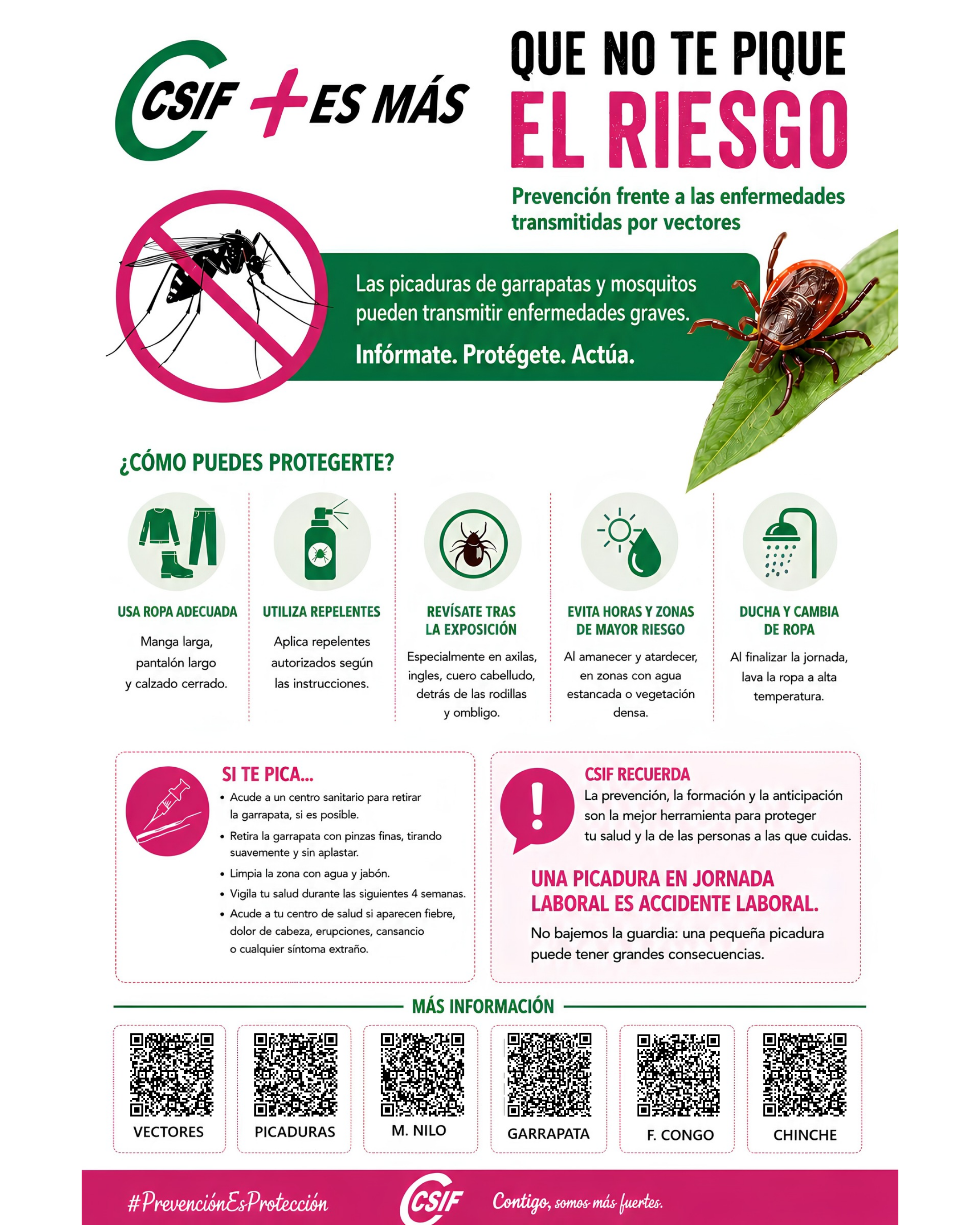 Post QR infografía