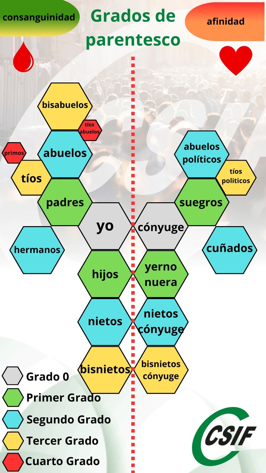 CONSANGUINIDAD Y AFINIDAD