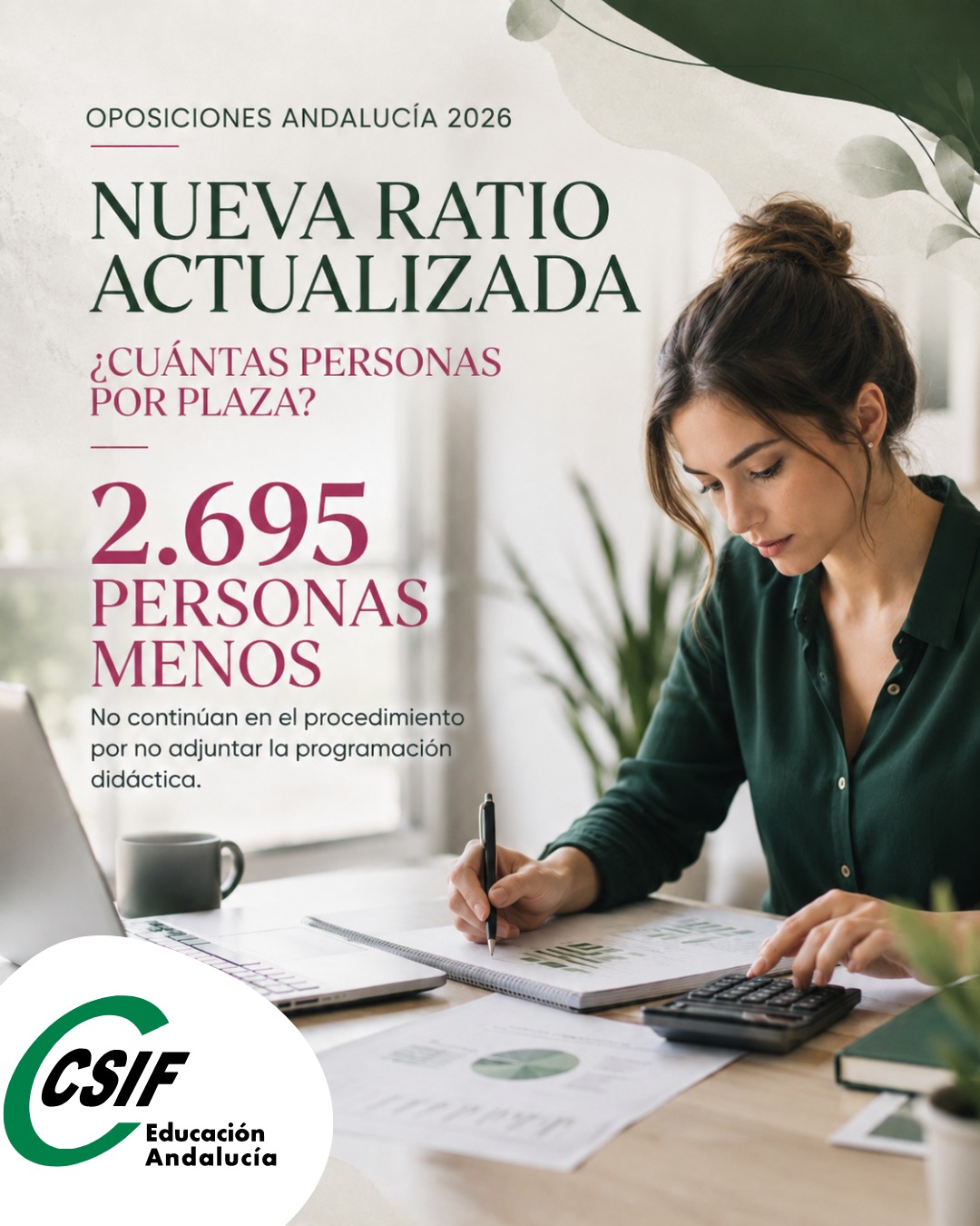 Estudio completo de ratios