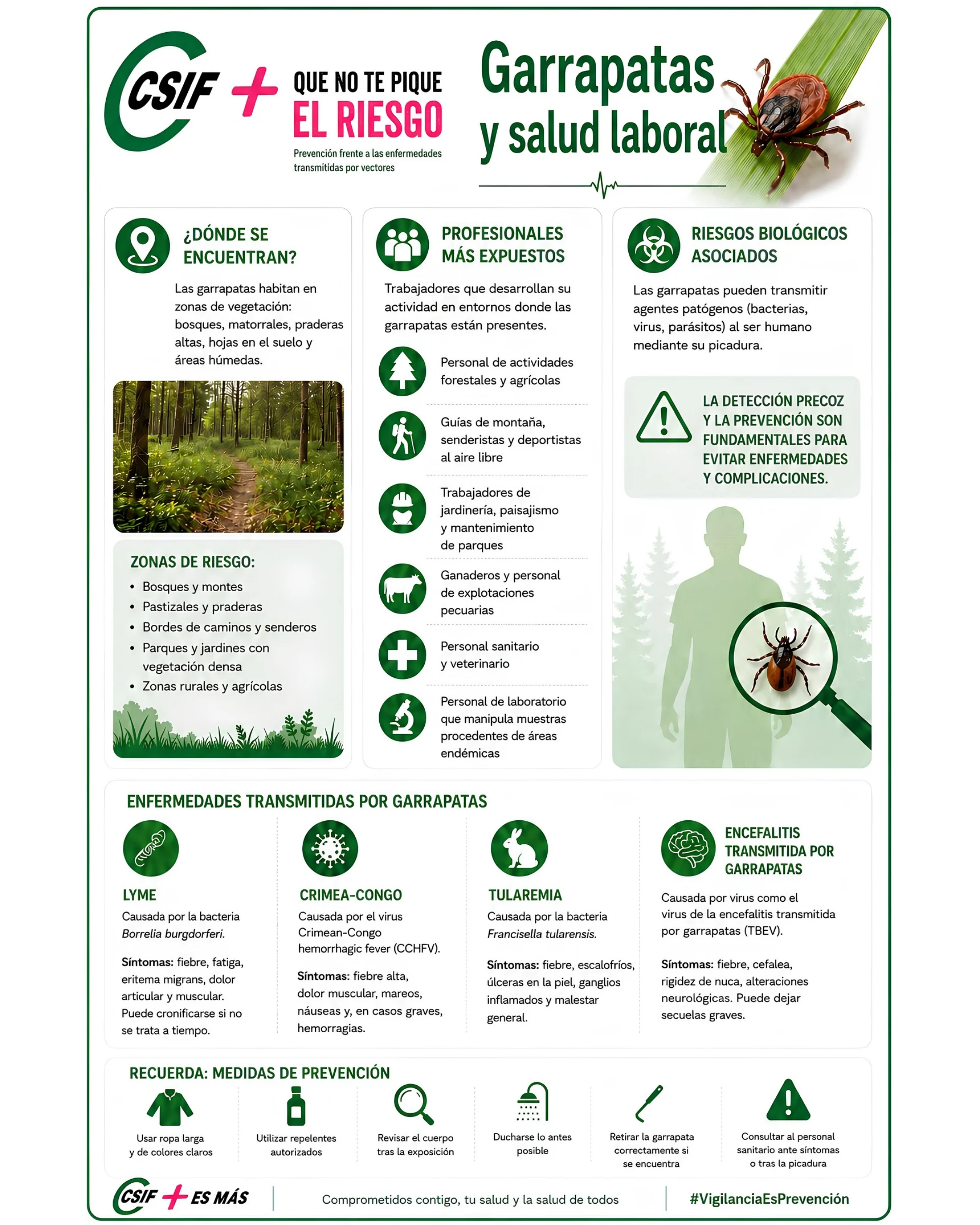 Garrapatas y salud laboral