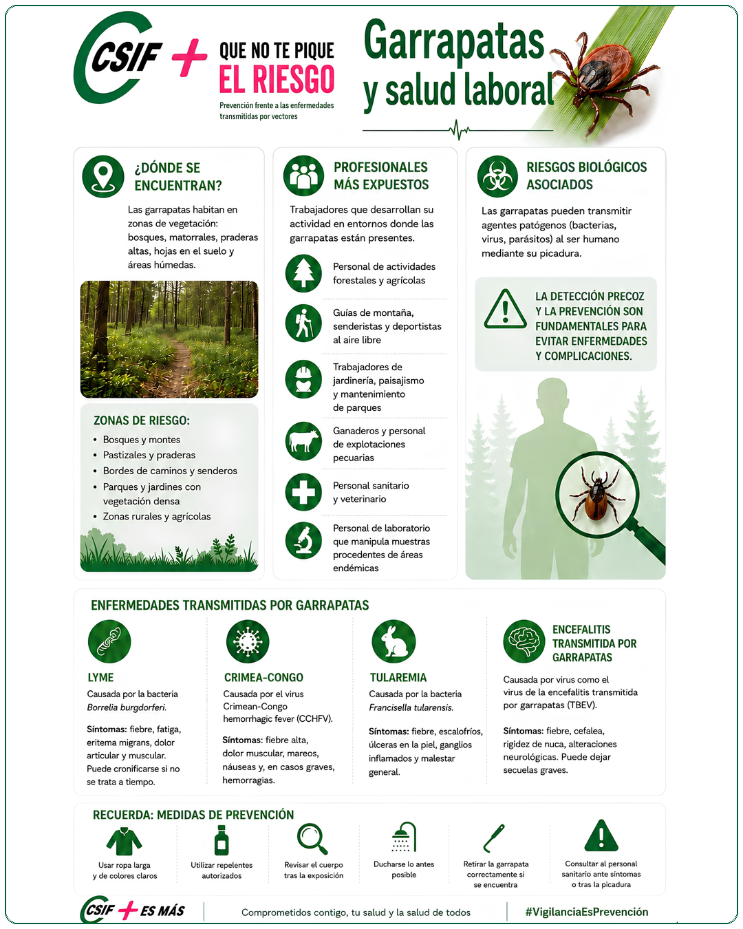 Garrapatas y salud laboral