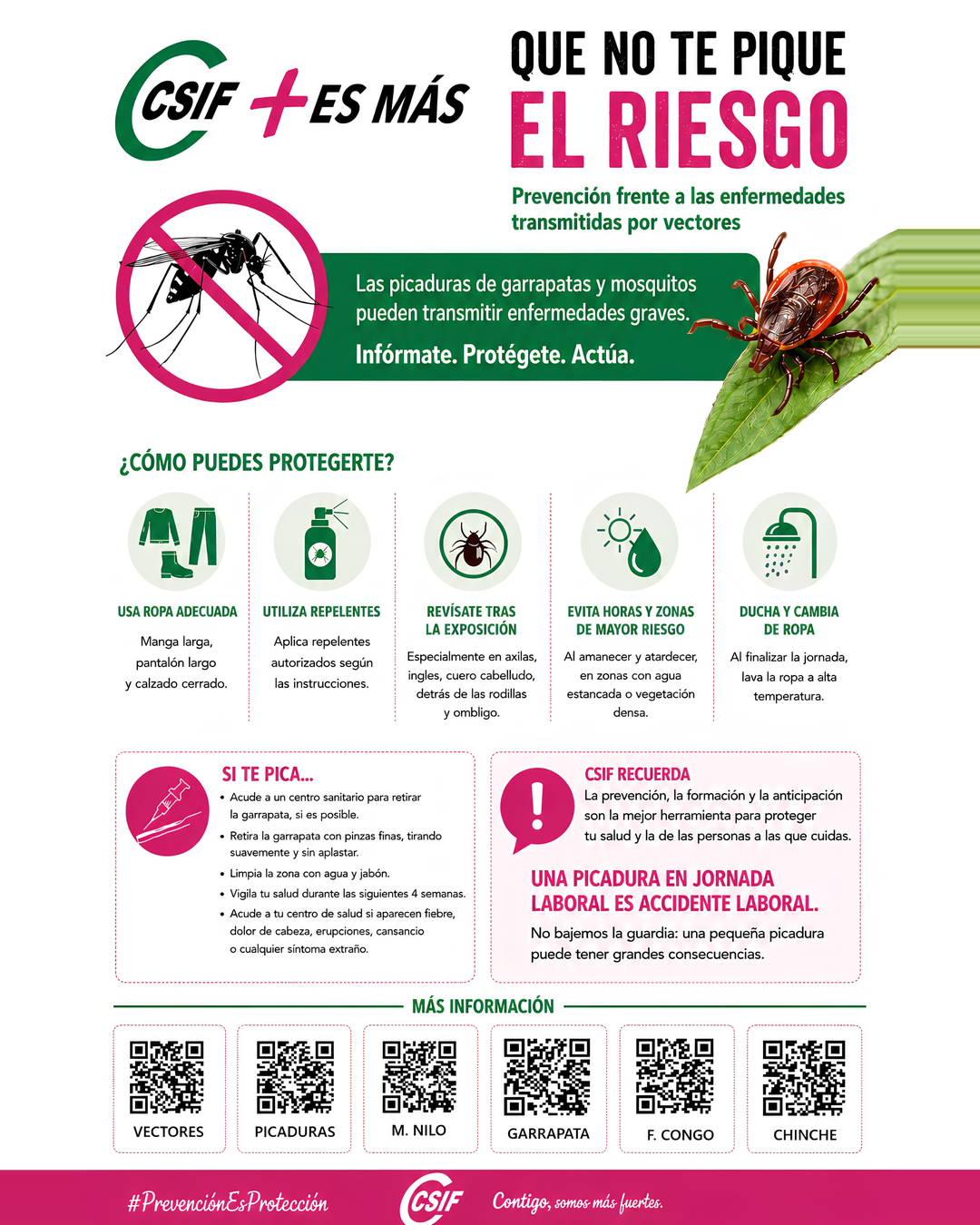 Que no te pique el riesgo