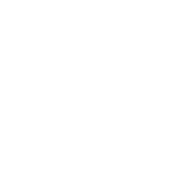 icono ventajas